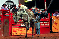 2009-02-06 Rodeo