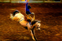 2009-05-02 Rodeo