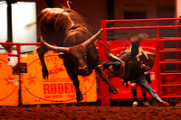 2009-03-27 Rodeo